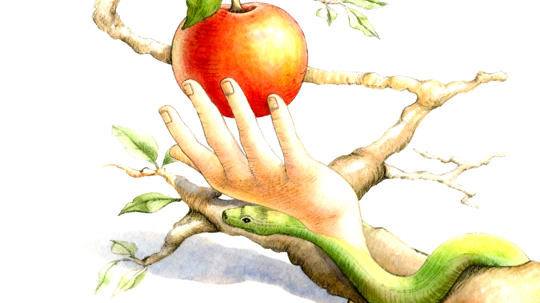 Forbidden Fruit2025-11-13T07:14:35.019Z"